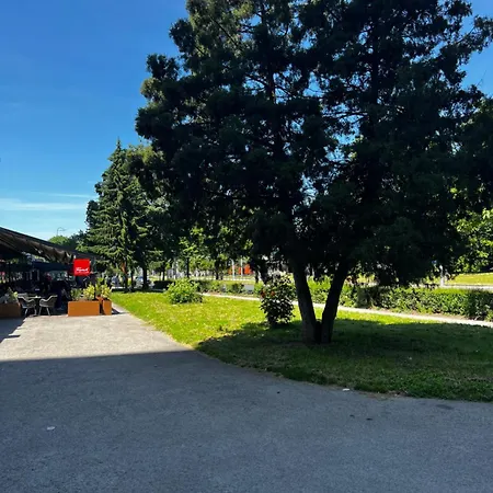 Golden Fish In Jungle Jacuzzi Sauna 사라예보